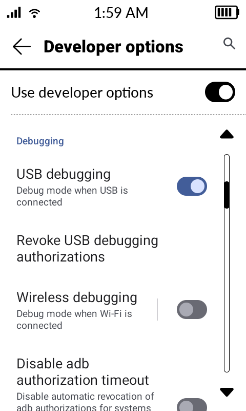 Developer options with USB debugging turned on